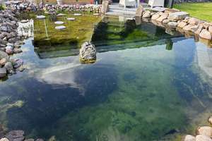 Bungalow mit eigenem Schwimmteich?
- Zu kaufen! In 23847 Pölitz - – Die vollständige Adresse der Immobilie erhältst du vom Anbieter., 23847 Pölitz – Vorschaubild 36