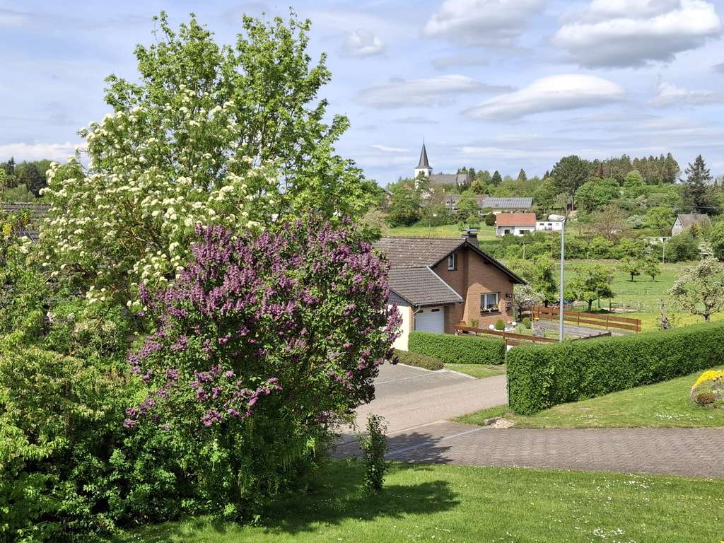 Immobilie in Mechernich - Freistehender Bungalow in Mechernich-Weyer mit wunderschönem Ausblick  - Bild 1