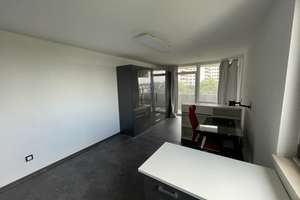 Zentrale Kapitalanlage mit Entwicklungspotenzial | Saniertes Apartment in Sachsenhausen-Süd – 60598 Sachsenhausen-Süd, Frankfurt am Main – Vorschaubild 10