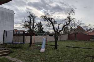 990 m² voller Möglichkeiten Zweifamilienhaus & Bauplatz – Die vollständige Adresse der Immobilie erhältst du vom Anbieter., 68794 Oberhausen-Rheinhausen – Vorschaubild 3