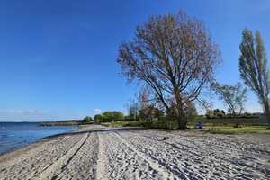 Einmalig: ZFH mit ca. 70m langem Sandstrand im Grundbuch; Baugenehm. für zwei weitere Ferienhäuser – Nordstern 6, 24972 Schleswig-Flensburg (Kreis) – Vorschaubild 1