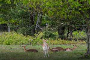 Property thumbnail 27