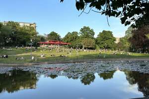 Property thumbnail 17