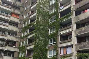 Hübsche 2 Zimmer-Wohnung mit Sonnenbalkon – Brückenhofstraße 62, 34132 Oberzwehren, Kassel – Vorschaubild 3