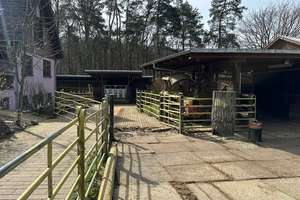 Reitanlage mit Stall und schönen Landhaus in St. Ingbert-Hassel zu verkaufen. – Die vollständige Adresse der Immobilie erhältst du vom Anbieter., 66386 Sankt Ingbert – Vorschaubild 24