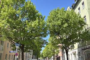 Wohnen mit Charakter: 2-Zimmer-Wohnung in der Schwanthalerhöhe – Westendstraße 137, 80339 Westend, München – Vorschaubild 2