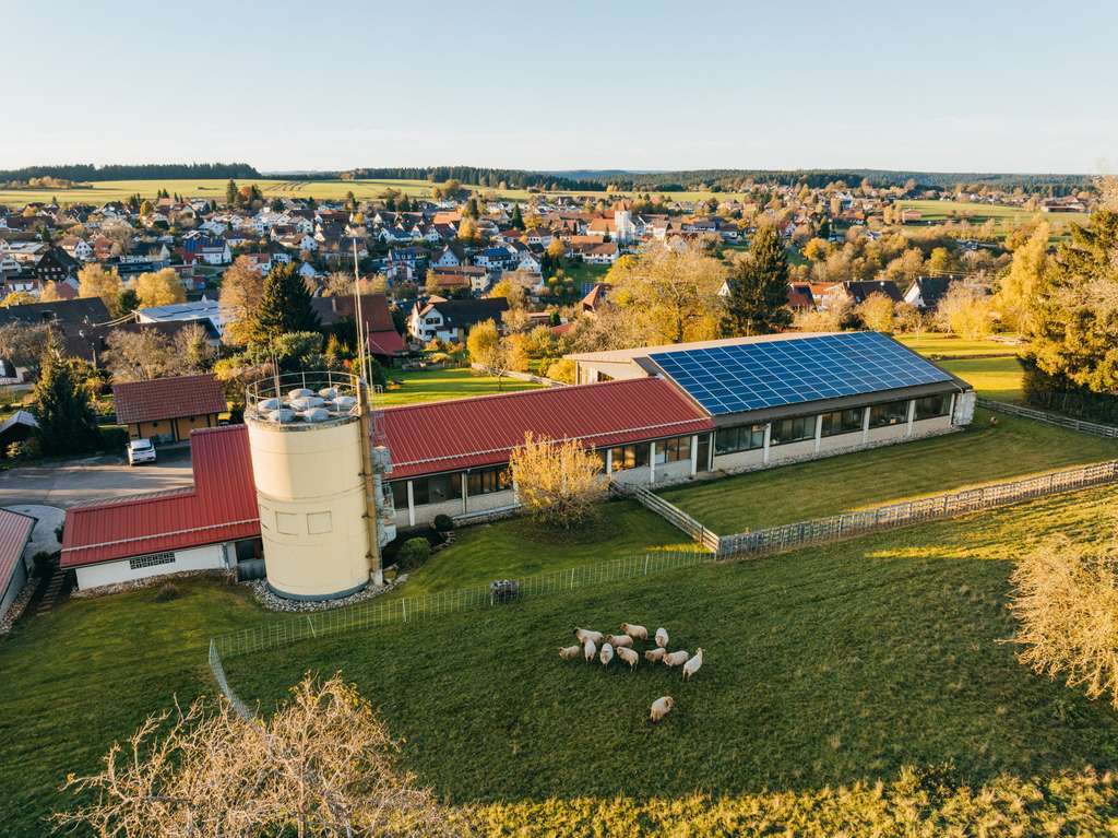 Immobilie in Aichhalden - Gepflegtes Gewerbeanwesen mit freistehendem Einfamilienhaus  | Wohnen & Arbeiten - Bild 1