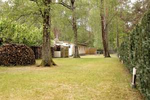 Ein Zuhause zum Durchatmen: Waldrand-Bungalow mit Kamin und Garten – Die vollständige Adresse der Immobilie erhältst du vom Anbieter., 14822 Borkwalde – Vorschaubild 5