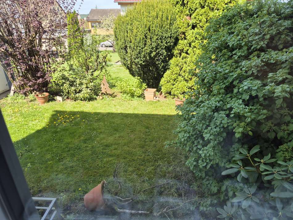 Blick in den Garten aus Küche