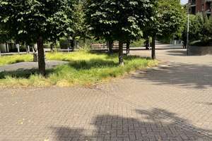 Helle 3-Zimmer-Gartenwohnung in Köln-Niehl - Pure Wohnqualität im "Brunnenplatz Veedel"  – 50735 Niehl, Köln – Vorschaubild 13