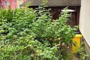 Einfamilienhaus in guter Lage Jenas zu verkaufen – Die vollständige Adresse der Immobilie erhältst du vom Anbieter., 7743 Jena-Süd, Jena – Vorschaubild 4
