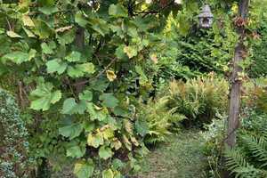 Wunderschönes Haus mit Garten und EBK – Wetteraukreis – Vorschaubild 11