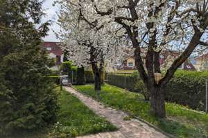 Einfamilienhaus zum Bodenrichtwert!!! – Die vollständige Adresse der Immobilie erhältst du vom Anbieter., 7747 Lobeda-Altstadt, Jena – Vorschaubild 8