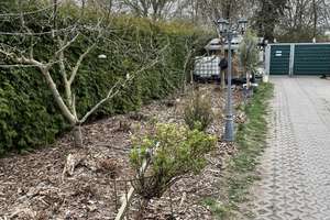 2 Bungalows am See – Die vollständige Adresse der Immobilie erhältst du vom Anbieter., 39122 Neustädter See, Magdeburg – Vorschaubild 28