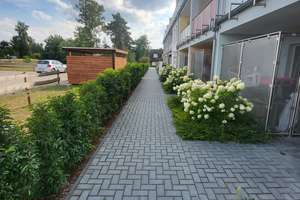 Großes Ferien-Apartmenthaus mit 29 Einheiten am Bernsteinsee – Toplage im Wochenendhausgebiet Stüde – Holunderweg  650, 38524 Sassenburg – Vorschaubild 6