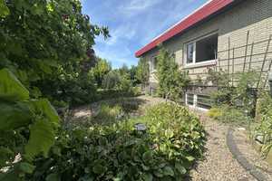 DIREKT AM WALDRAND IN WINSEN/ALLER: BUNGALOW MIT GROSSEM GARTEN & POOL IN FAMILIENFREUNDLICHER LAGE – Celle (Kreis) – Vorschaubild 4