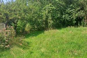Eigentumswohnung mit 1800 m²  natürlichen Garten – Die vollständige Adresse der Immobilie erhältst du vom Anbieter., 33699 Stieghorst, Bielefeld – Vorschaubild 24