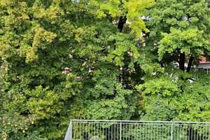 Dachgeschosswohnung in Jena West – Jena – Vorschaubild 5