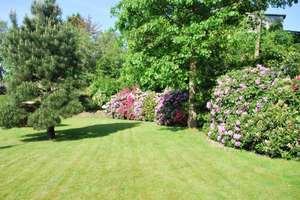 Freistehendes Haus mit Gartenidylle in exzellenter Lage – Die vollständige Adresse der Immobilie erhältst du vom Anbieter., 44229 Bittermark, Dortmund – Vorschaubild 6