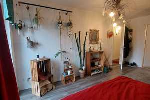 Großes geteiltes Haus!! 2 liebe Menschen für ein großes geteiltes Haus mit Garten gesucht – Bruchstraße 6, 41542 Neuss (Rhein-Kreis) – Vorschaubild 7