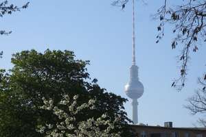 Provisionsfrei* Sonniges Appartement Prenzlauer Berg-saniert & bezugsfrei-nahe S-Bahn-Ring-von priva – Kniprodestrasse 96, 10405 Prenzlauer Berg, Berlin – Vorschaubild 3