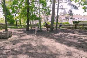 Großzügiges Anwesen mit Reithalle am Senner Hellweg – 33689 Sennestadt, Bielefeld – Vorschaubild 22