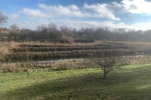 gepflegtes Landhaus mit 17,620ha Land inkl 8 Fischweiher auch ohne Fischweiher – Auf der Au 1, 88480 Achstetten – Vorschaubild 7