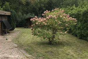 Familientraum mit Garten – 22589 Lohbrügge, Hamburg – Vorschaubild 5