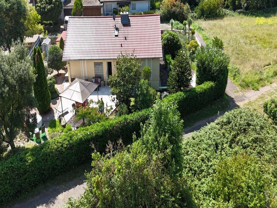Rückseite