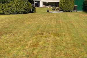 Ein Familientraum im Top-Zustand!!! Einfach Zuhause!!!! – Die vollständige Adresse der Immobilie erhältst du vom Anbieter., 42651 Solingen-Mitte, Solingen – Vorschaubild 6
