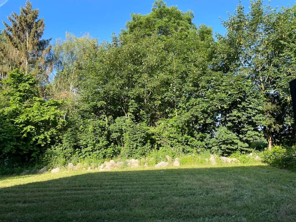 Immobilie in Ratzeburg - Neues Reihenmittelhaus mit wunderschöner Aussicht - Bild 2