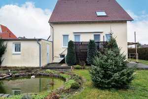 - sucht neue Bewohner – Dessau-Roßlau – Vorschaubild 8