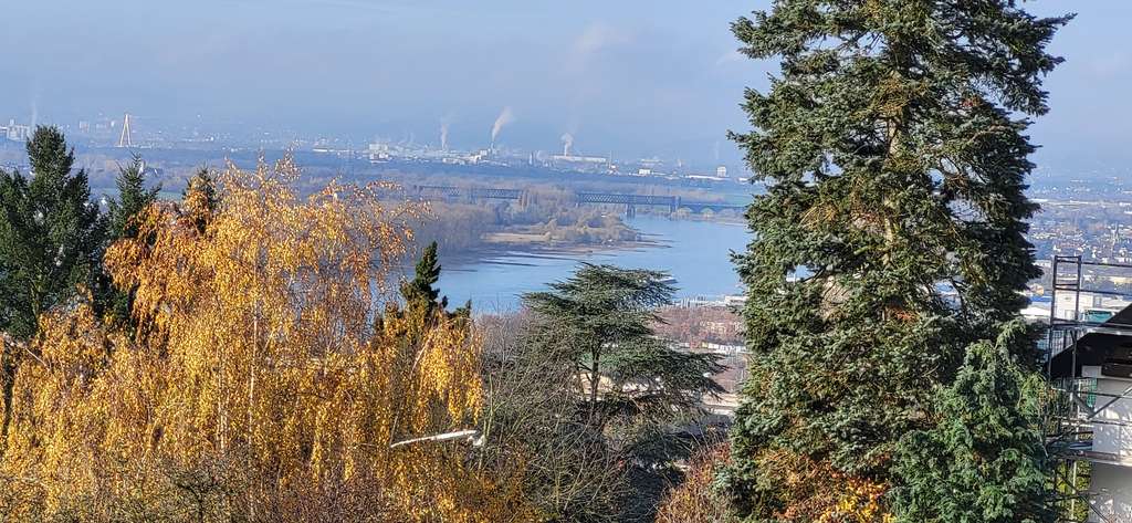 Immobilie in Weitersburg - Rheinblick sucht einen Käufer - Bild 0