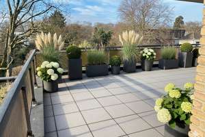 Property thumbnail 19