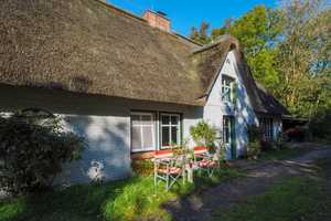 Idyllisches Landleben zwischen Vollerwiek und St.Peter-Ording – Nordfriesland (Kreis) – Vorschaubild 1