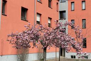 Große, renovierte und helle 1-ZKB-Dachgeschoßwohnung  in Ma-Waldhof – Otto-Siffling-Straße 13, 68305 Waldhof, Mannheim – Vorschaubild 8