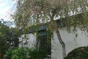 Bezaubernd schönes Bungalow Ein Familien-Haus, wartet im Grünen gebettet auf die nächste Generation. – Die vollständige Adresse der Immobilie erhältst du vom Anbieter., 88662 Überlingen – Vorschaubild 8