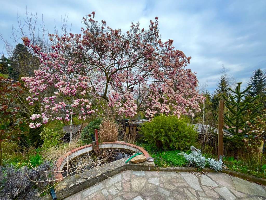Naturbelassenes großes Liebhabergrundstück mit Talblick in Cossebaude für Ihr Traumhaus!