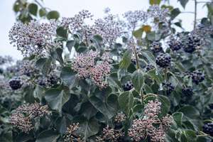 Property thumbnail 22