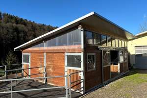 Modernes Anwesen mit Reitanlage und 3,8 ha Pachtfläche – Die vollständige Adresse der Immobilie erhältst du vom Anbieter., 72160 Horb am Neckar – Vorschaubild 16
