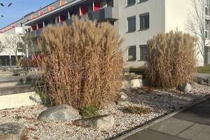 „STUDENTISCHES WOHNEN IN MODERNEM WOHNHEIM
1-ZIMMER-APPARTEMENT MIT BALKON IN 80939 MÜNCHEN-FREIMANN