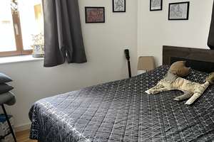 Moderne 2-Zimmer-Neubauwohnung mit Terrasse im Denkmal nahe Zwenkauer See – Rundkapellenweg 24l, 4249 Hartmannsdorf-Knautnaundorf, Leipzig – Vorschaubild 15