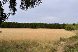 HORN IMMOBILIEN++ gemütliches Einfamilienhaus in Eggesin – Uecker-Randow (Kreis) – Vorschaubild 5