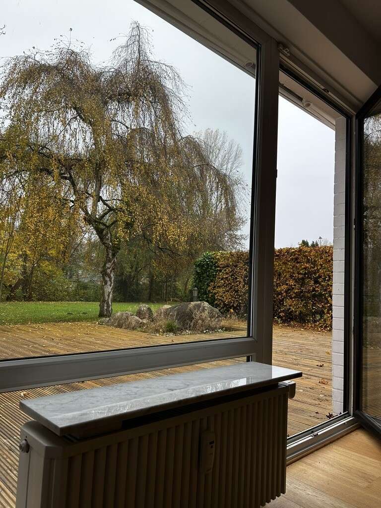 Immobilie in Wentorf bei Hamburg - Großzügiges Wohnen in Wentorf – 160 m² Wohnung mit Parkgrundstück - Bild 2