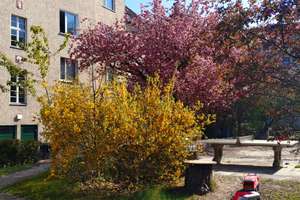2-Zimmer-Wohnung in Berlin-Tempelhof mit Kaminofen und Klimanlage – Die vollständige Adresse der Immobilie erhältst du vom Anbieter., 12101 Tempelhof, Berlin – Vorschaubild 3