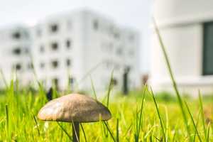 Zentral, grün, modern- Die Lindenhöfe II in den Steimker Gärten – Wolfsburg – Vorschaubild 11