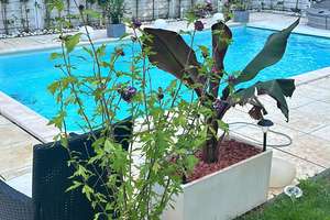 Im Alleinauftrag renovierungsbedürftiges Haus mit  eigenen beheizten Salzwasserpool