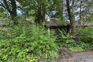 !!!SCHNÄPPCHEN-HAUS (5 Zi) auf 1.425 m² GRUNDSTÜCK in Spiekershausen!!! Himmlisch ruhig an der Natur – Göttingen (Kreis) – Vorschaubild 6