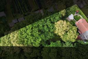 Grünes Paradies auf günstiger Erbpacht: Einfamilienhaus mit riesigem Garten – Die vollständige Adresse der Immobilie erhältst du vom Anbieter., 65933 Griesheim, Frankfurt am Main – Vorschaubild 25