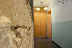 Einfamilienhaus mit Einlieger-Option & modernem Studio — ideal für Familien oder Mehrgenerationen – Die vollständige Adresse der Immobilie erhältst du vom Anbieter., 16321 Bernau bei Berlin – Vorschaubild 10